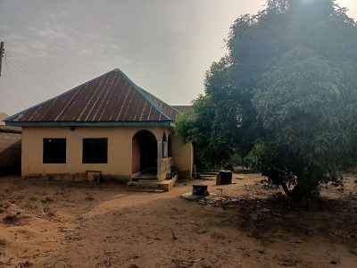3 Bed Room Flat
